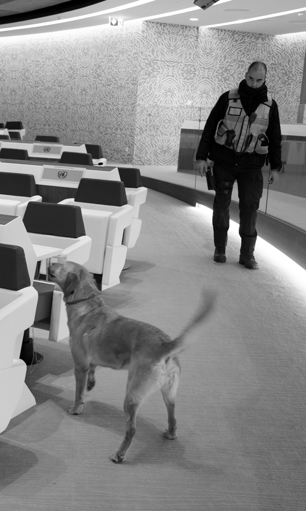 A photo showing a conference room with rows of empty desks and chairs. A dog is sniffing one of the chairs, while a Security and Safety Service officer stands nearby. 
