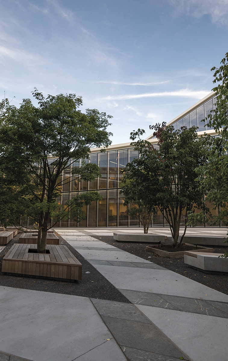 Trees inside wooden cubes, created for sitting by the footpath leading to the new office building. 